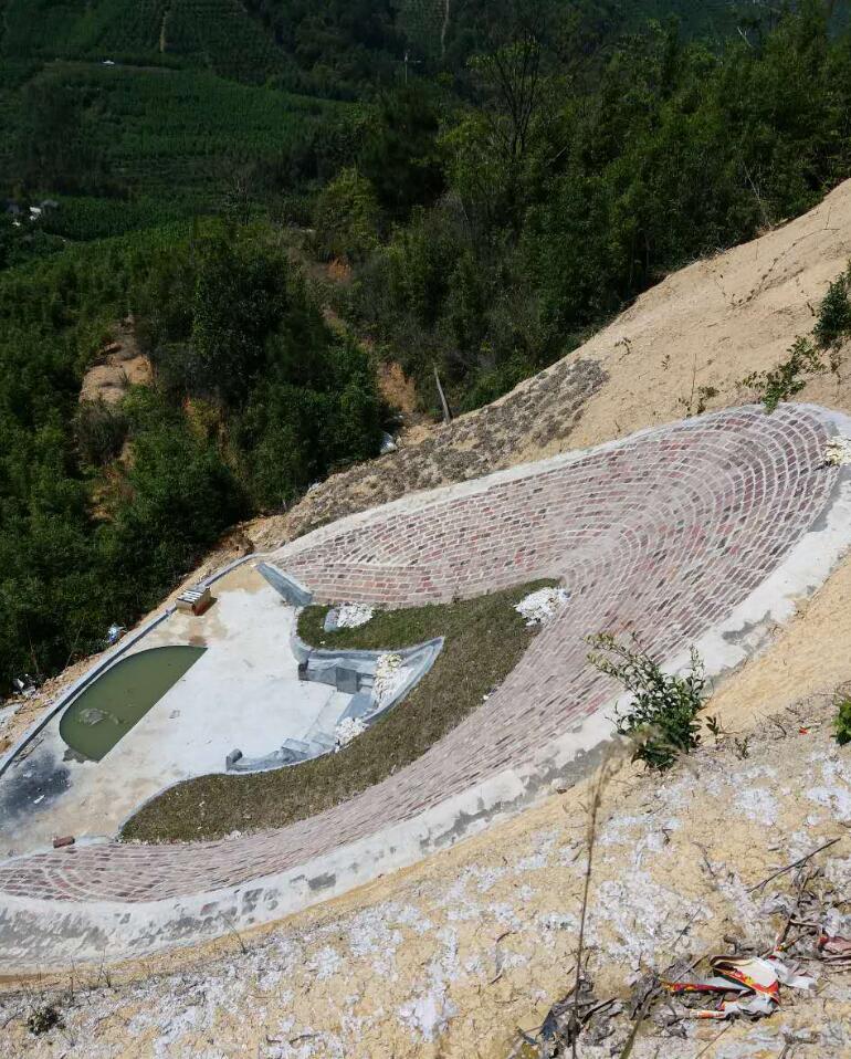 福建平和九峰恶霸照片图片